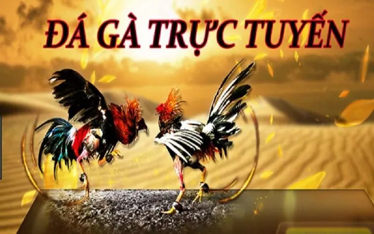 Bí Quyết Thắng Lớn Với Đá Gà 3D Tại QH88 Hấp Dẫn